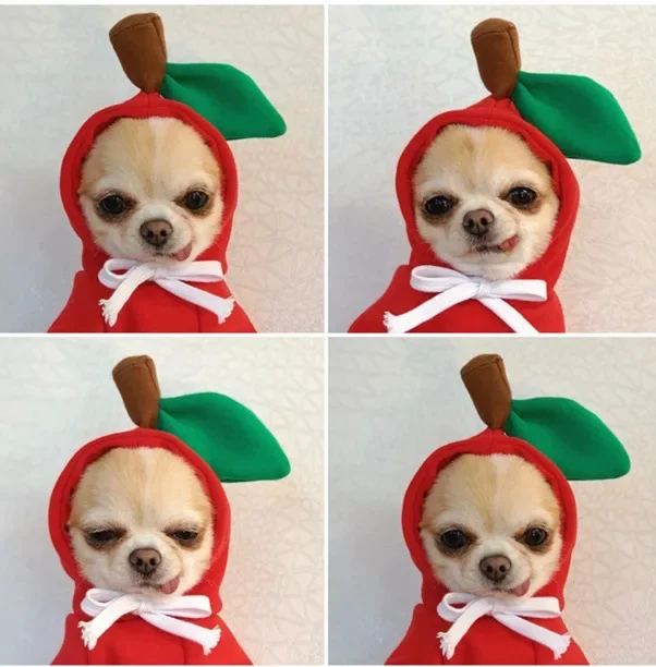 Christmas Dog Winter Hooded Sweatshirt Costume for Small Medium Pet Coat Puppy Cat Jacket Clothes Chihuahuas French Bulldog