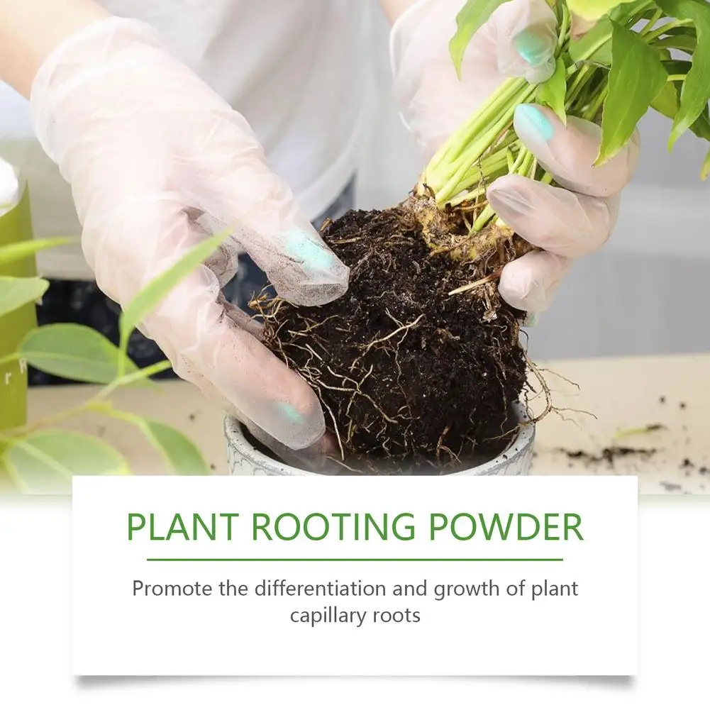Polvo para enraizar plantas que promueve el crecimiento de raíces, mejora la eficiencia de absorción de nutrientes en las raíces, mejora la resistencia al estrés, suministros de jardinería