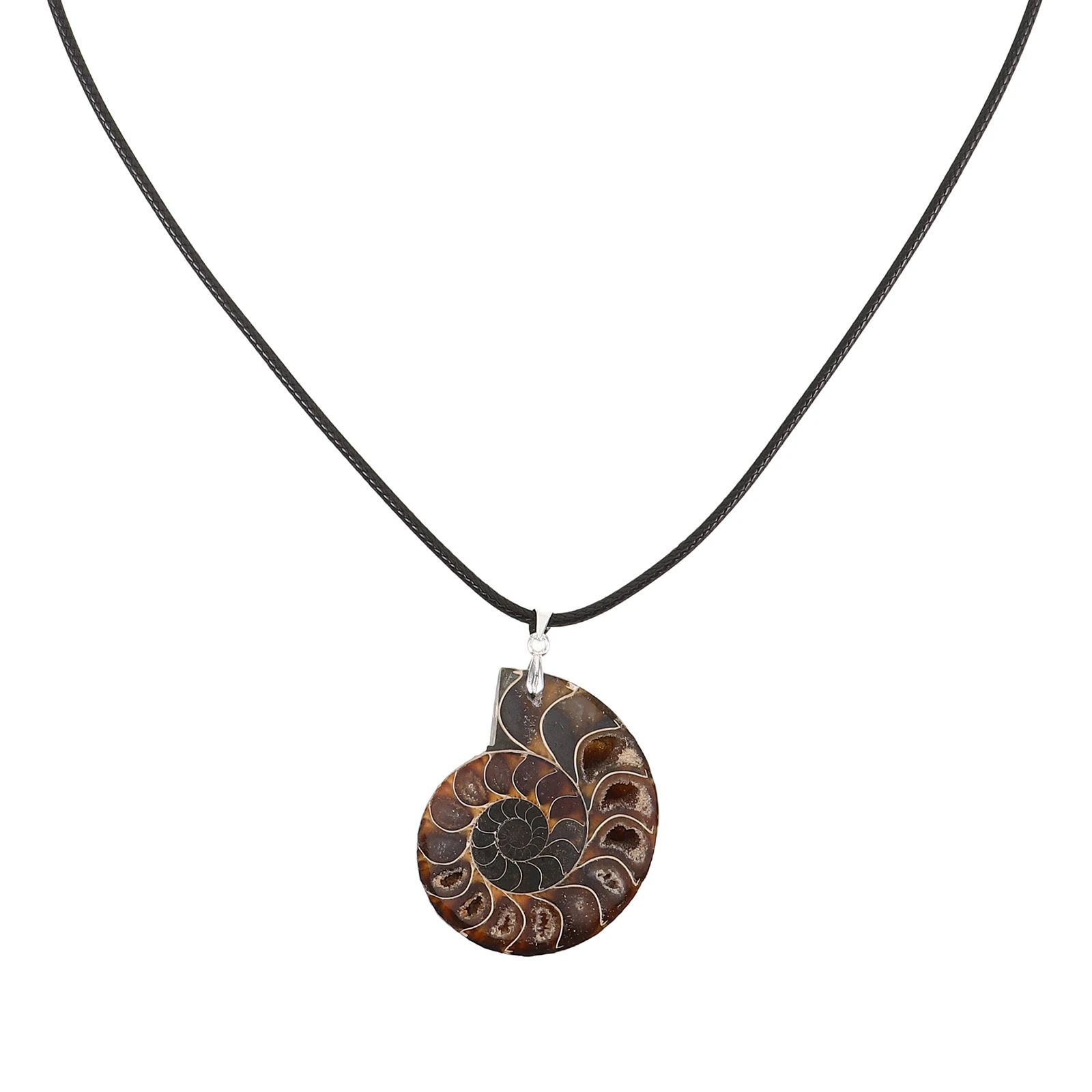 

Natural Conch Pendant Seashell Slice Handmade Charms Necklace Ammonite Pendant For Jewelry Making Shell Jewelry Ammonite