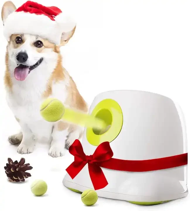 

All for Paws Interactive Outdoor Training Pet Automatic Dog Sport Tennis Ball Launcher Thrower Fetch Toy