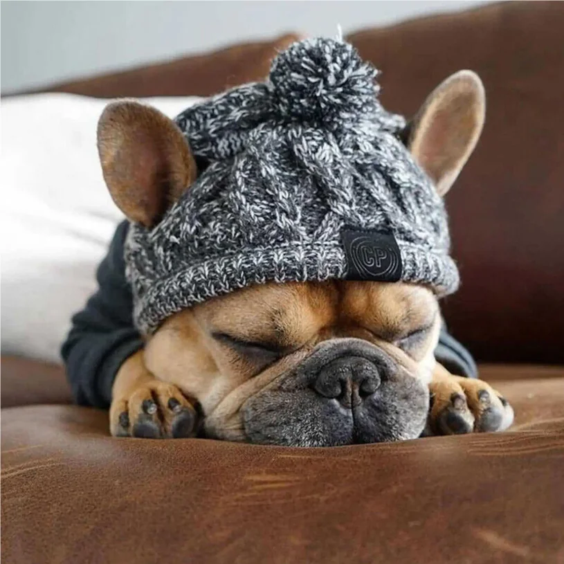 

Winter Warm Dog Hats Windproof Knitting French Bulldog Hat For Dogs Chihuahua Hat Fluffy Ball Pet Hat Puppy Accessories