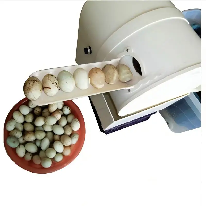 

New Type Egg Cleaning Machine/chicken Egg Washer For Sale/small Egg Washing Machine