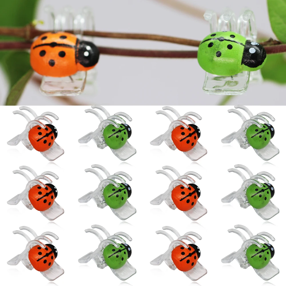 10-800PCS Ladybird Orchid Clips Colorful 5-Claw Clamps Home Garden Support for Fixing Climbing Stems Plants Bonsai Decorations