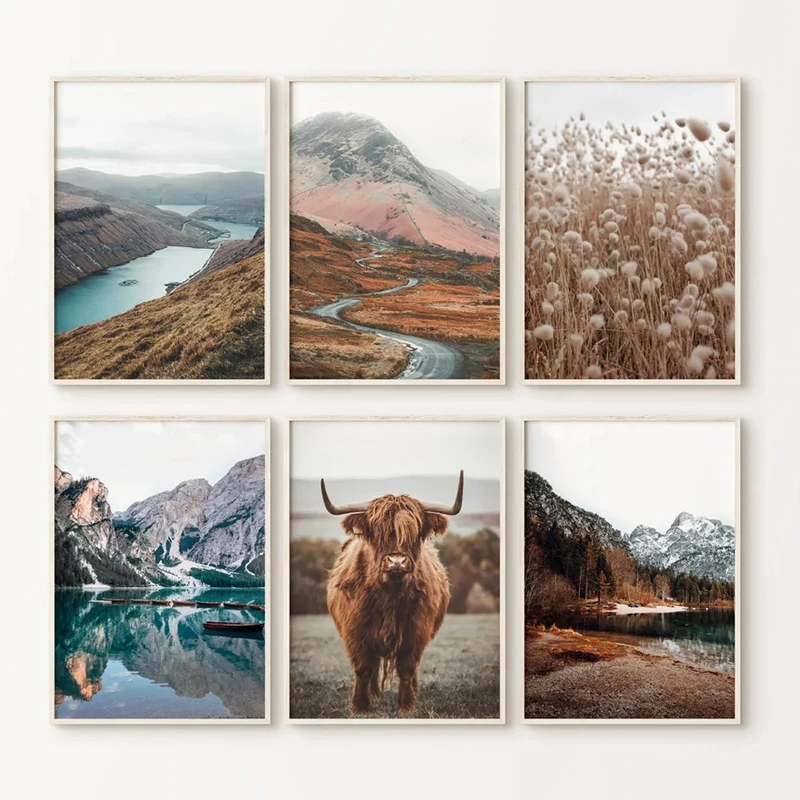 High Cow Nature Photography Landscape Wall Art Canvas Posters Aesthetic Prints Decorative Paintings Pictures for Home Room Decor