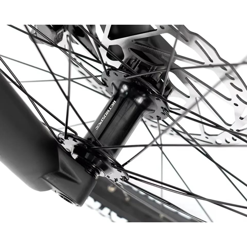 TWITTER New EC2 Aluminum Alloy Electric Assisted Mountain Bike Octagonal M430-500W Motor 48V20A Hydraulic Disc Brake image 9