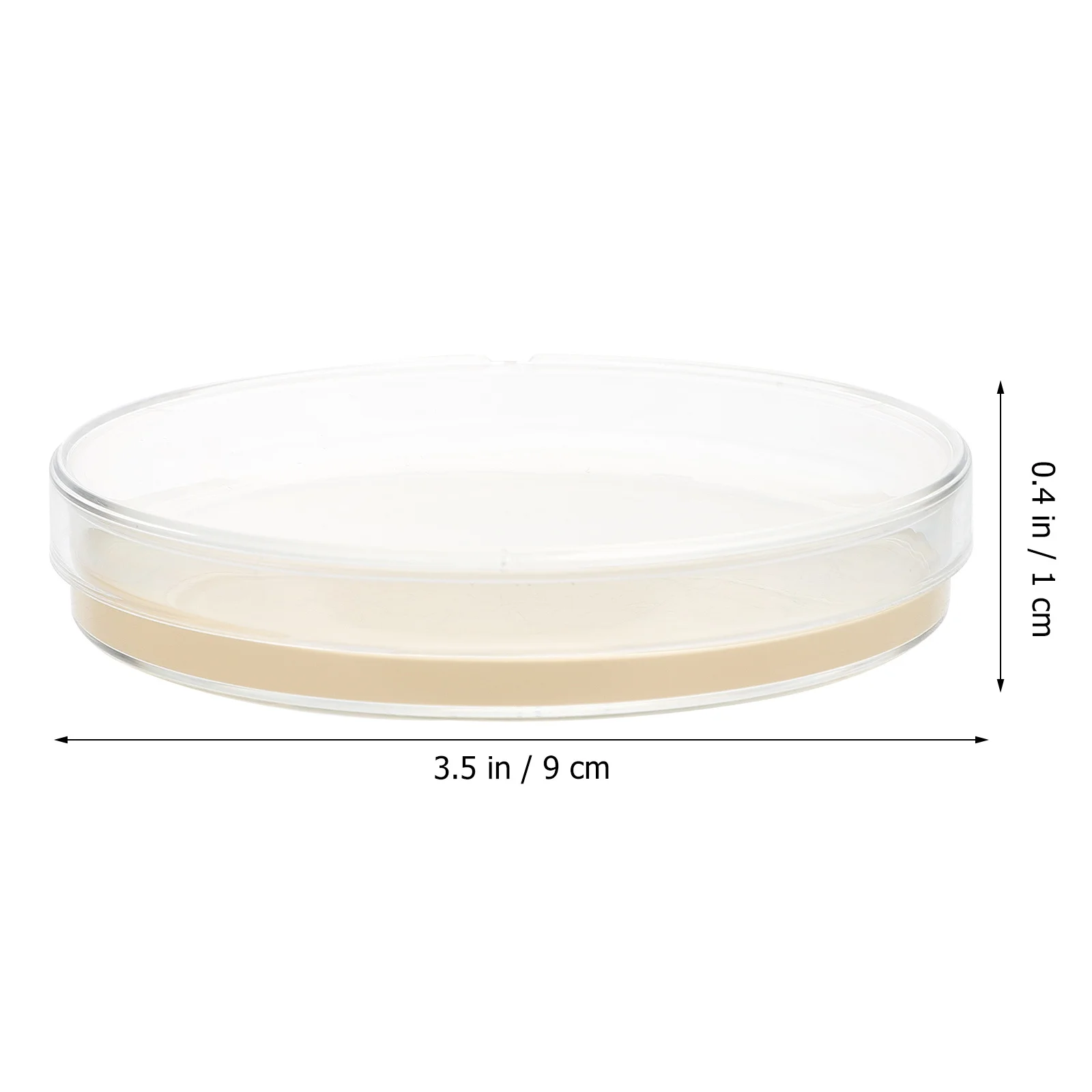 10Pcs Agar Plates Pre-Poured Fresh Growth Medium Lab Petri Dishes Science Experiment Culture Storage Isolation