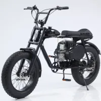 TTDIY Moped Gas Scooter Disc Brake 2 Stroke 80cc Bicycle Engine Kit Chopper Bike Motor