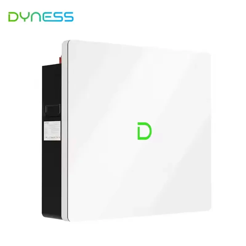 Dyness Powerbox G2 10.24kwh 51.2V 200AH Ip65 Solar Lithium Ion Lifep04 Batteries for Home Grade a Cheapest