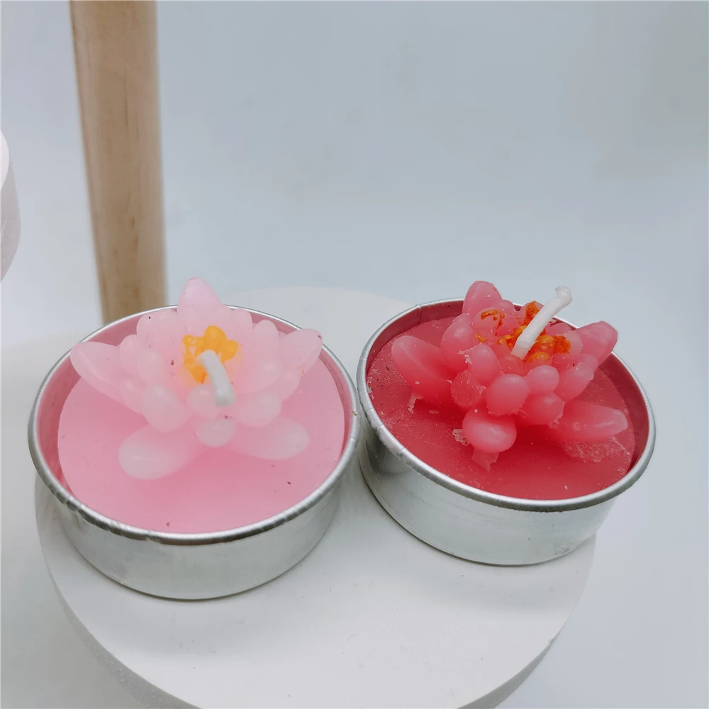 succulents Plant Aromatherapy candle red flower, papaya, longan aromatic Home Decorative Candles 1Pcs