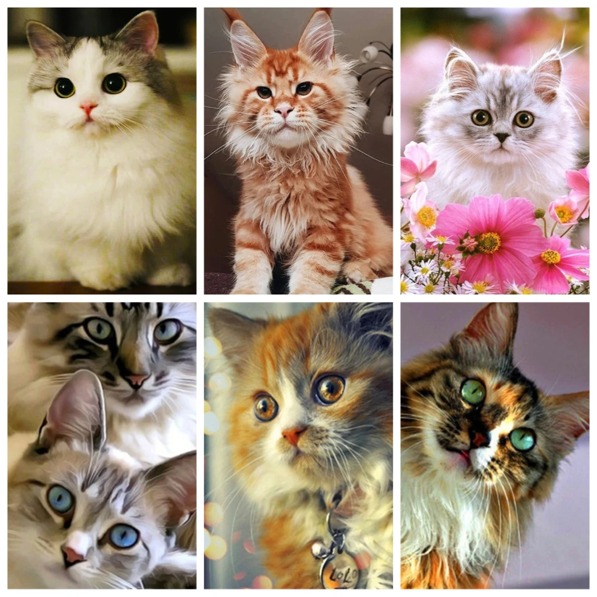 500/1000 Pieces Jigsaw Puzzle Cat Animals Jigsaw Puzzle Educational Toy for Kids Children 's Games Christmas Gift