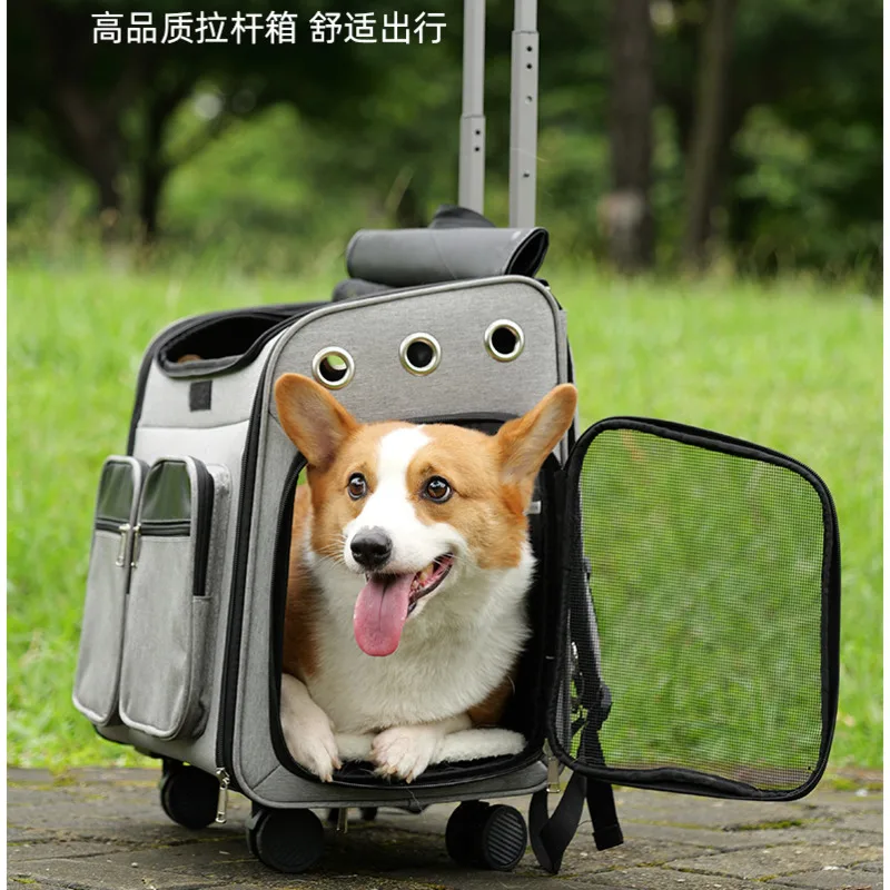 Large Capacity Pet Backpack Convenient Travel Stroller For Animals Reinforcement Rod Dog Seat Multi Functional Dogs Basket