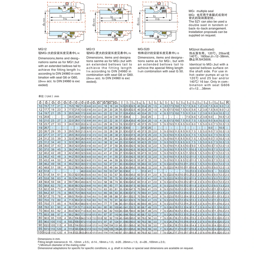 SiC-SiC-FKM 109-14/16/18/19/20/22/24/25/28/30/32/33/35/38-80mm Mechanische Welle Dichtung Einzigen Frühling für Wasser Pumpe – Detail 2