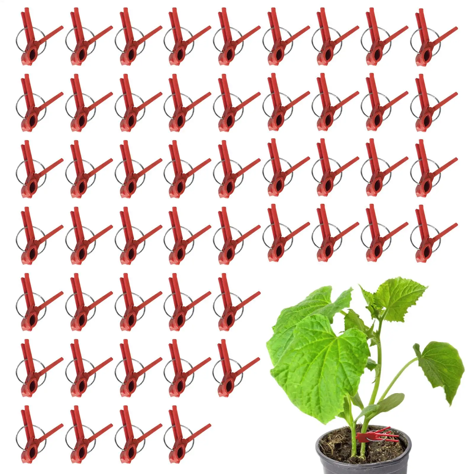 Grafting Clips Pack Of 50 Horticulture Grafting Clamp Falt Mouth Hooks Connecting For Vegetables Watermelon Gardening Tool