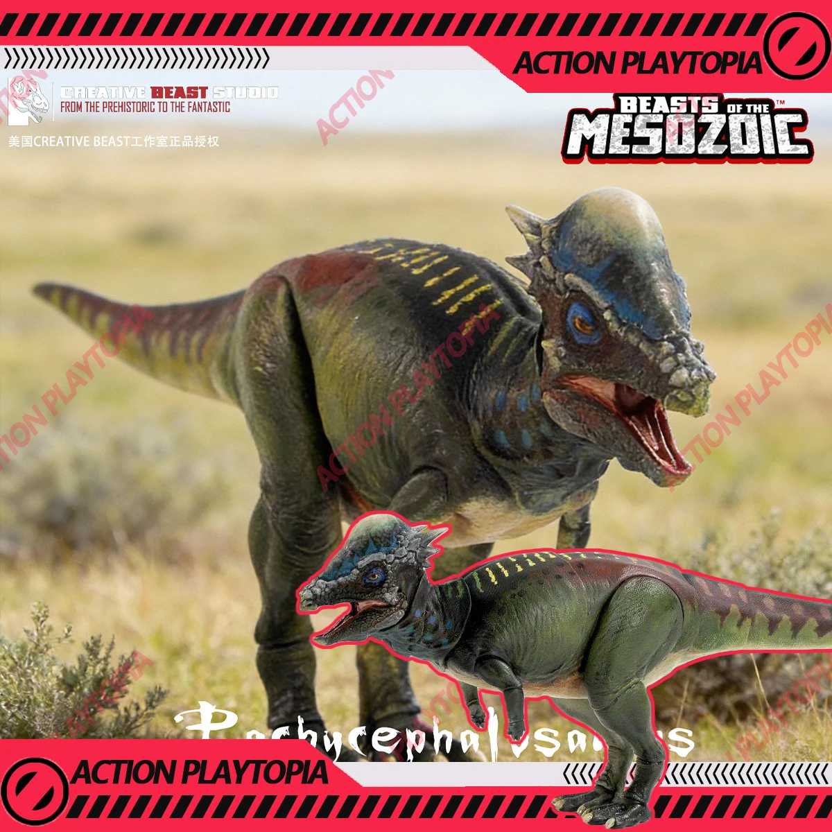 

Подвижная модель динозавра Пахицелфалозавра: Фигурка из серии «Звери мезозойского периода». Коллекционный подарок для любителей. Серия «Обитатели долины». Динозавры Юрского периода.