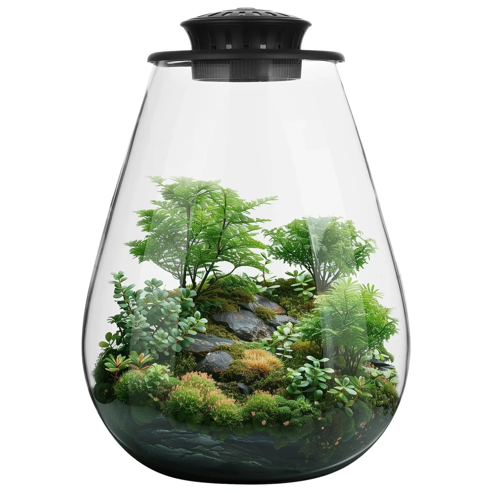 

Desktop Glass Plant Terrarium Grow Light Planter Plant Growth For Succulent Moss Miniature Gardening Landscape Betta Fish Tank