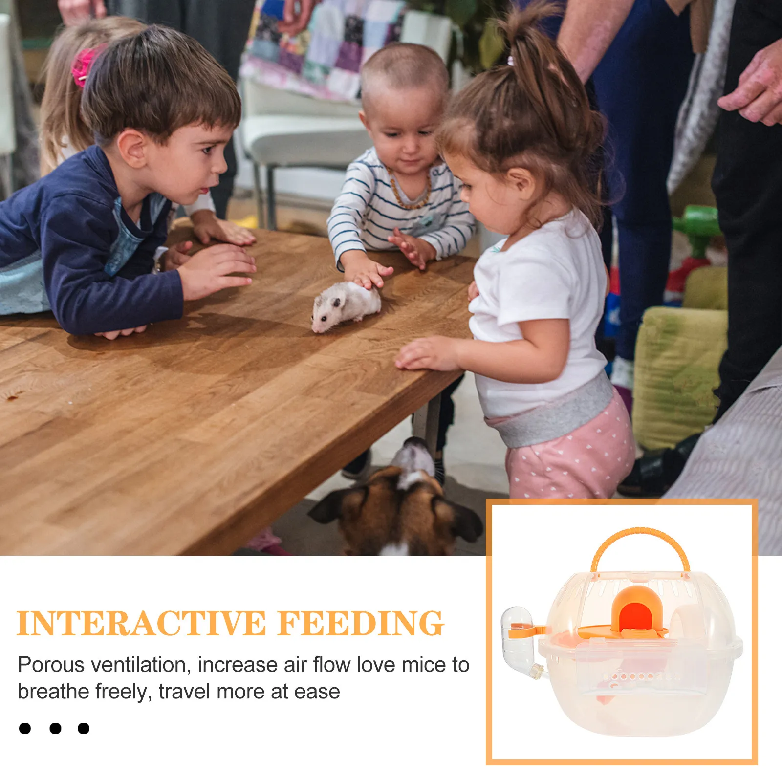 

Anti-Escape Handheld Pet Carrier for Hamster Travel Breathable Lightweight Portable Cage for Small Animals Outdoor Use