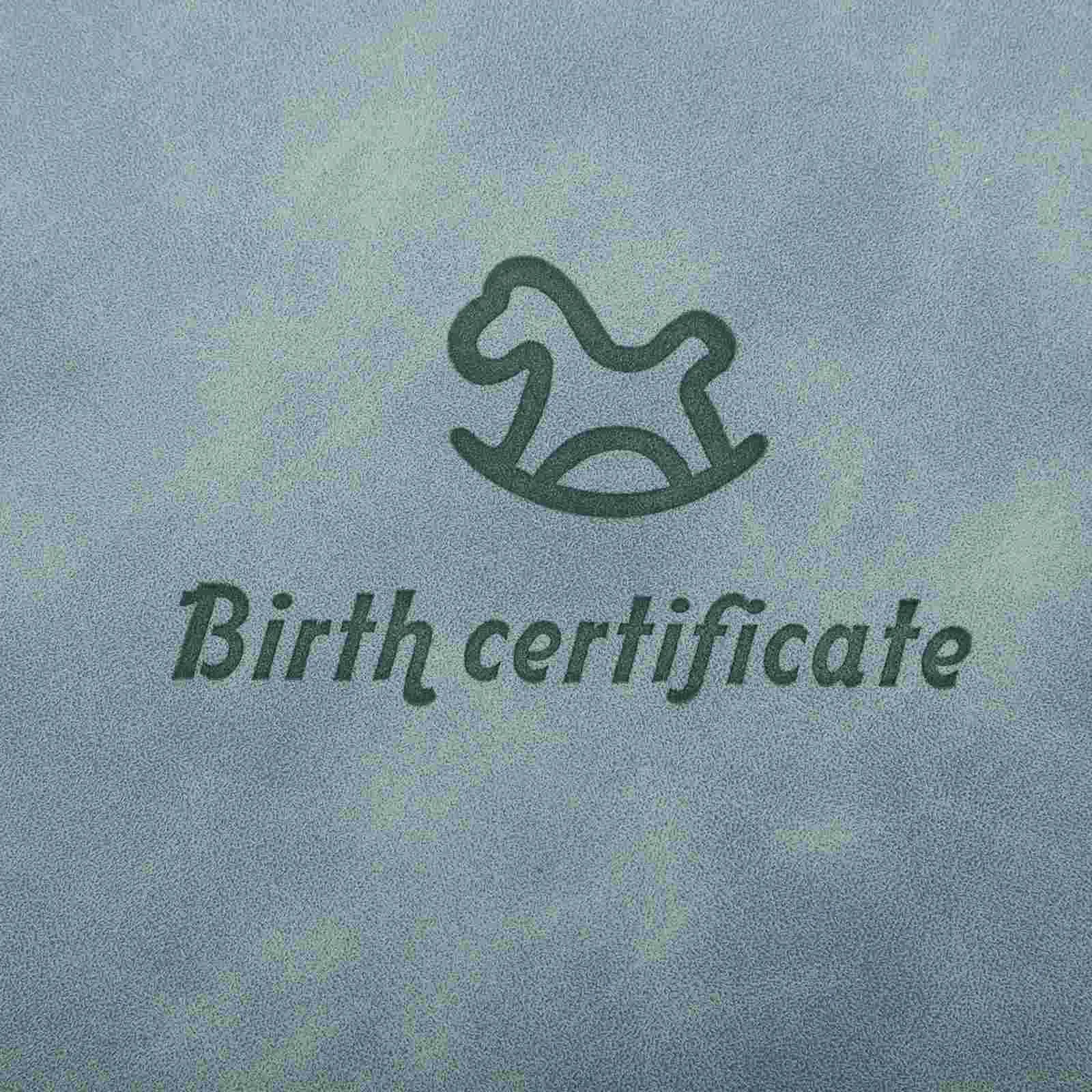 Birth Certificate Cover Protector Folder Storage Protection Sleeve for Holder Baby Protectors Skin