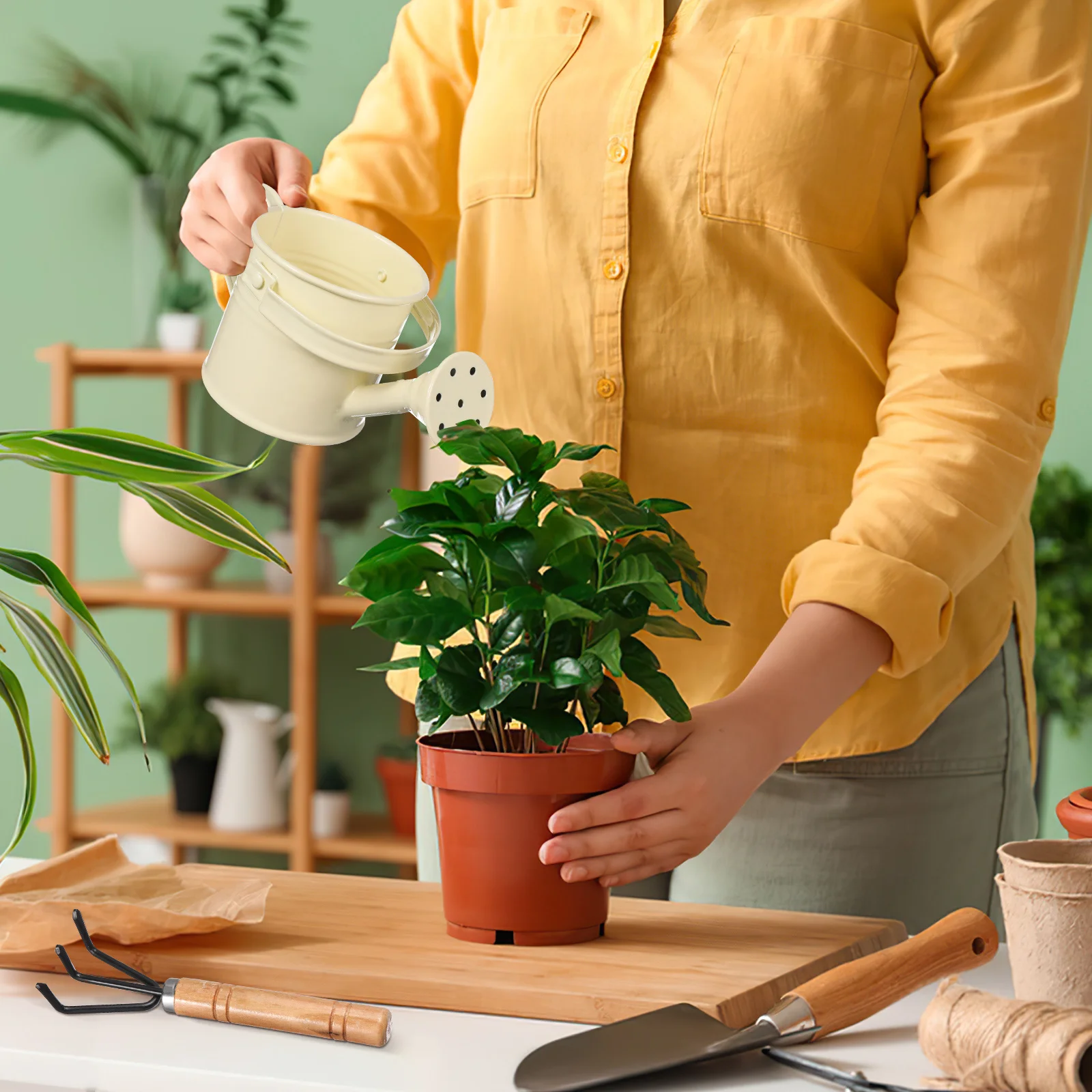 

1 set 1 Set Small Watering Can Long Spout Garden Watering Pot For Indoor Plants Outdoor Gardening Tools Metal Kettle Succulents