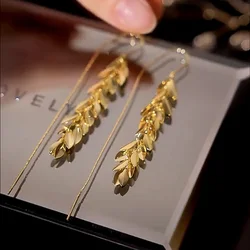 2023 Niche Design Sense Metal Wheat Long Tassel Earrings Ear Line Light Luxury Temperament Fashion Cold Wind Ear Drop Earrings