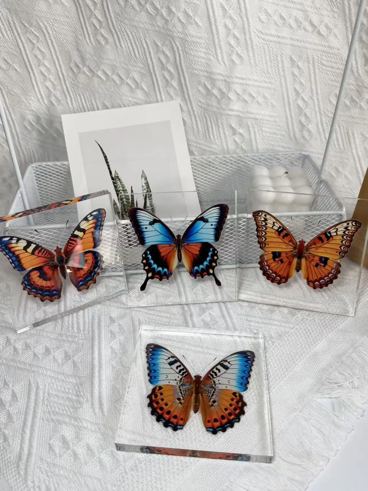 1 Stück Handgefertigtes Schmetterlings-Exemplar als Schreibtischdekoration, Kleine Ornament-Deko für Zuhause, Geschenk für Kinder und Mädchen – Detail 12