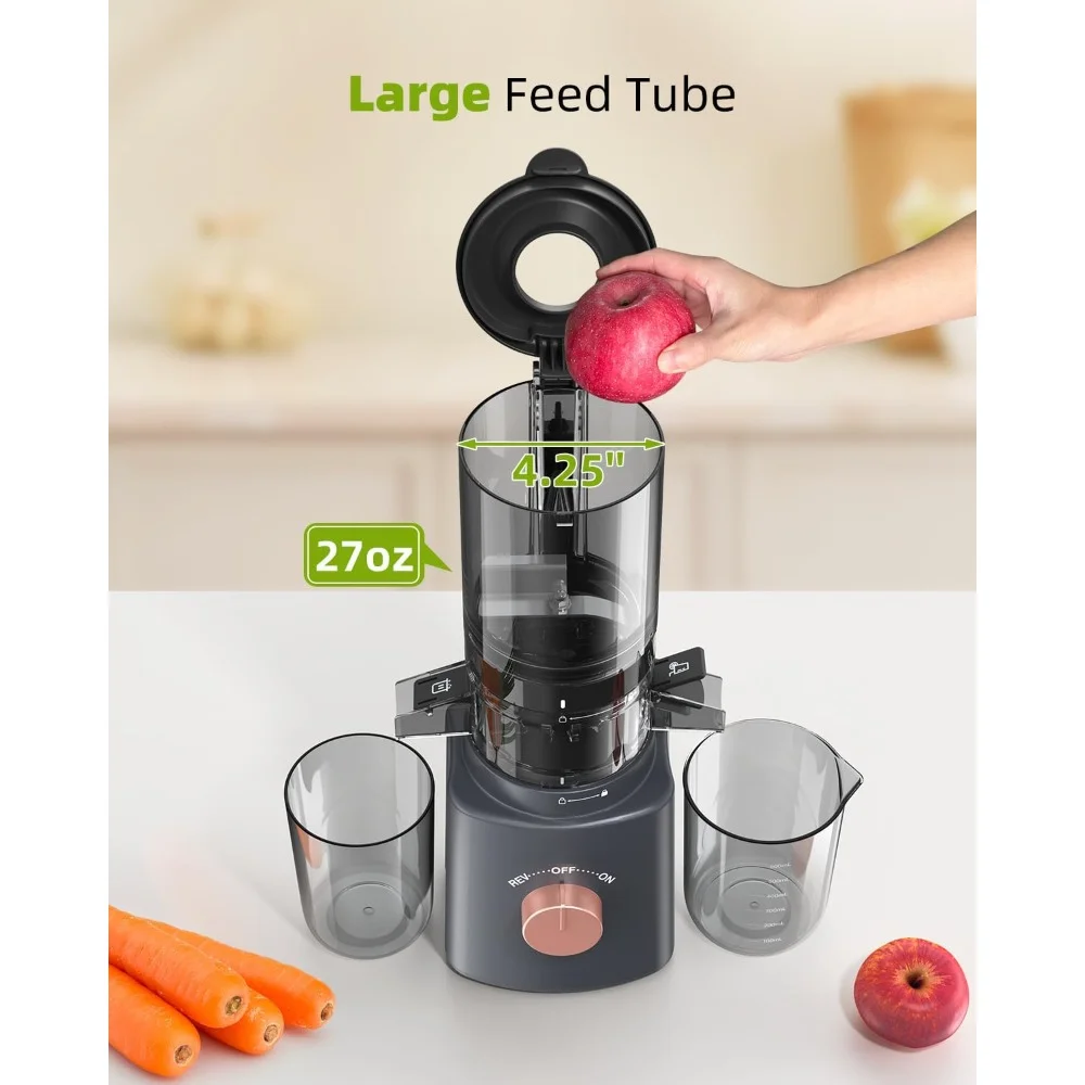 Juicer Machines, Cold Press Juicers with 4.25'' Large Feed Chute Fit Whole Vegetable and Fruit, Masticating Juicer