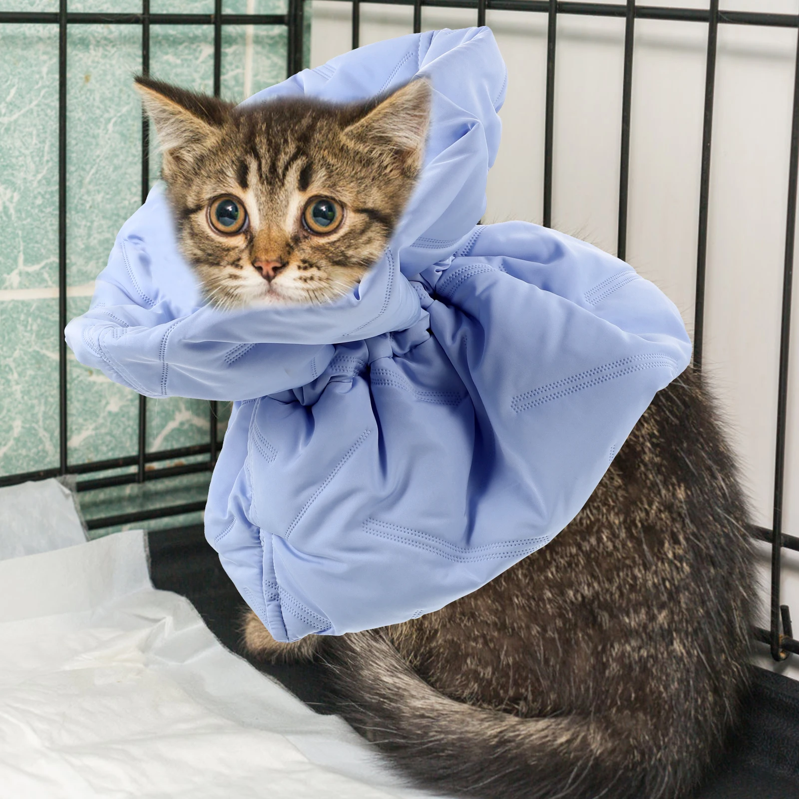 

1pcs Cat Elizabeth Collar Kitten Recovery Cone after Surgery Shallow Blue M Adjustable Comfortable Pet Supplies