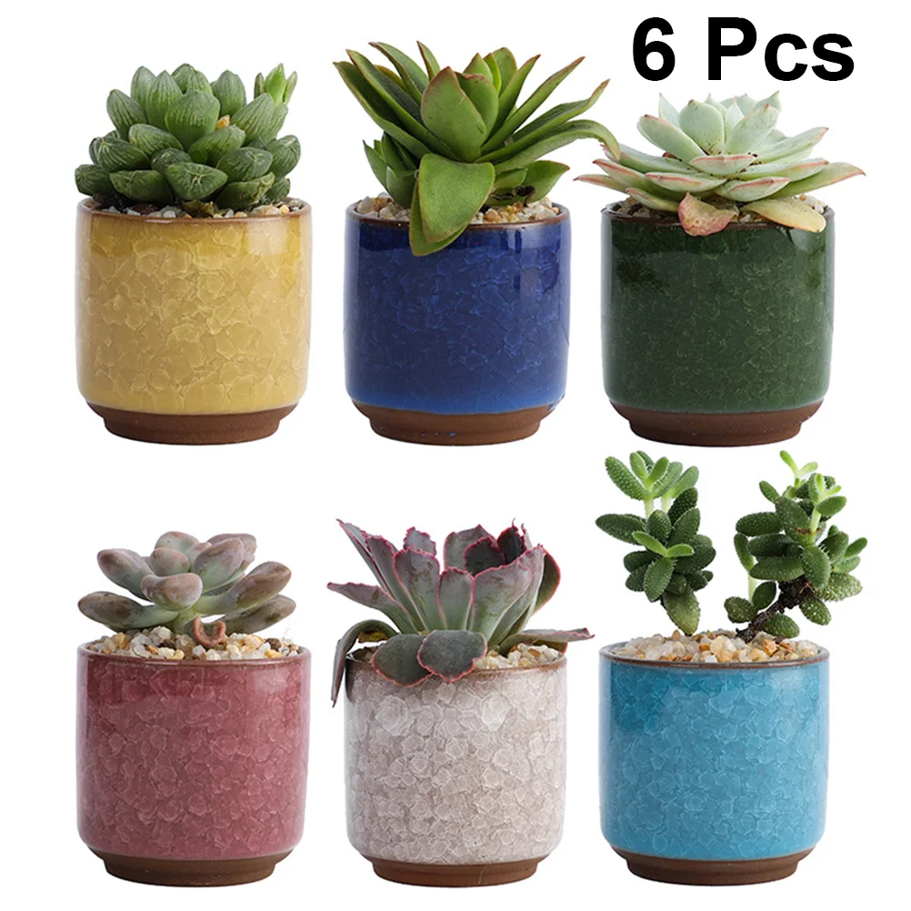 6pcs Ceramic Succulent Planter Pots Coloured Ceramic Flower Pot for Home Office Decor (Dark Blue, Red, White, Yellow, Green, Lig