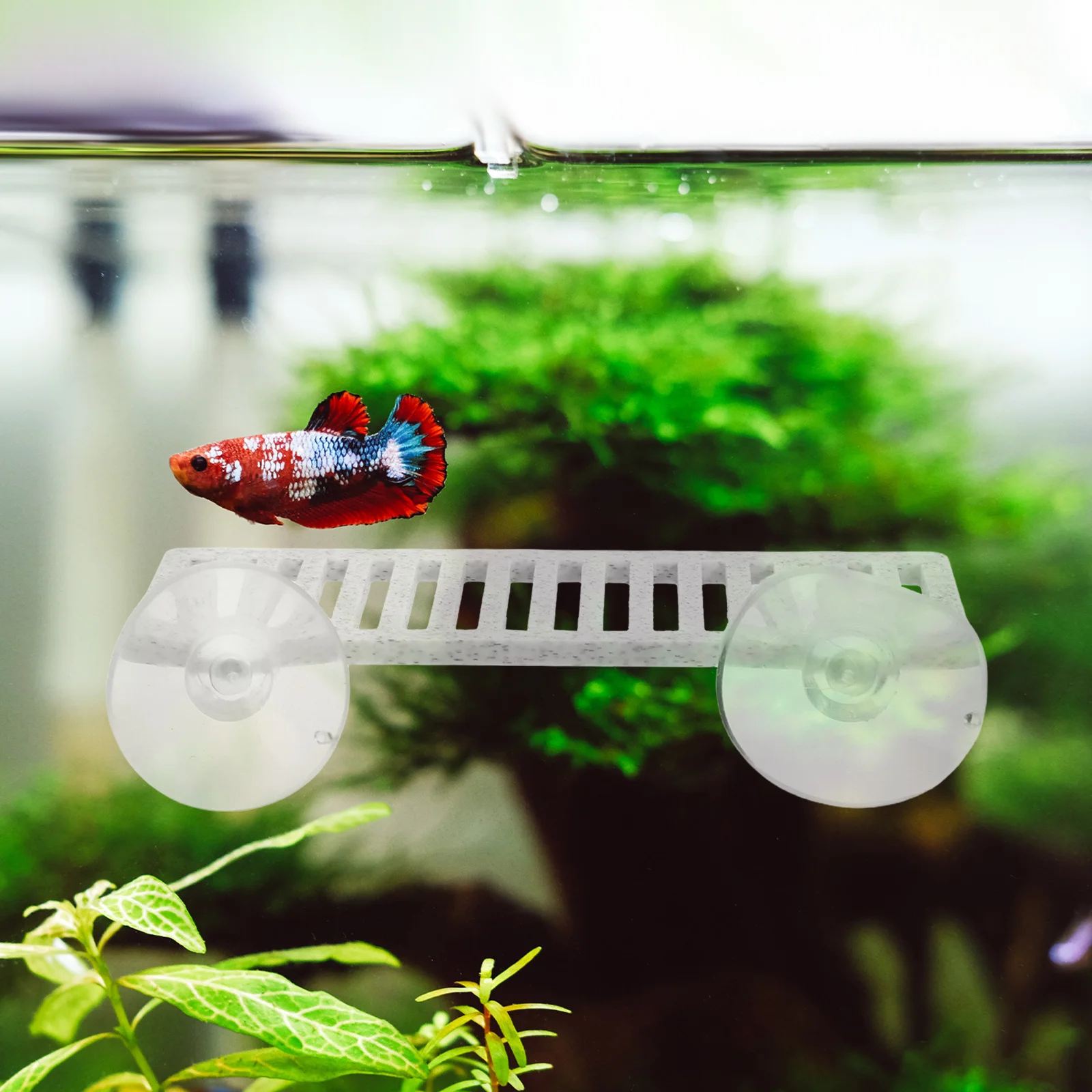 

Betta Fish Resting Pad Lifelike 3D Printed Leaf Float Decoration for Aquarium Safe Material Easy Setup Stylish Tank Decor Supply