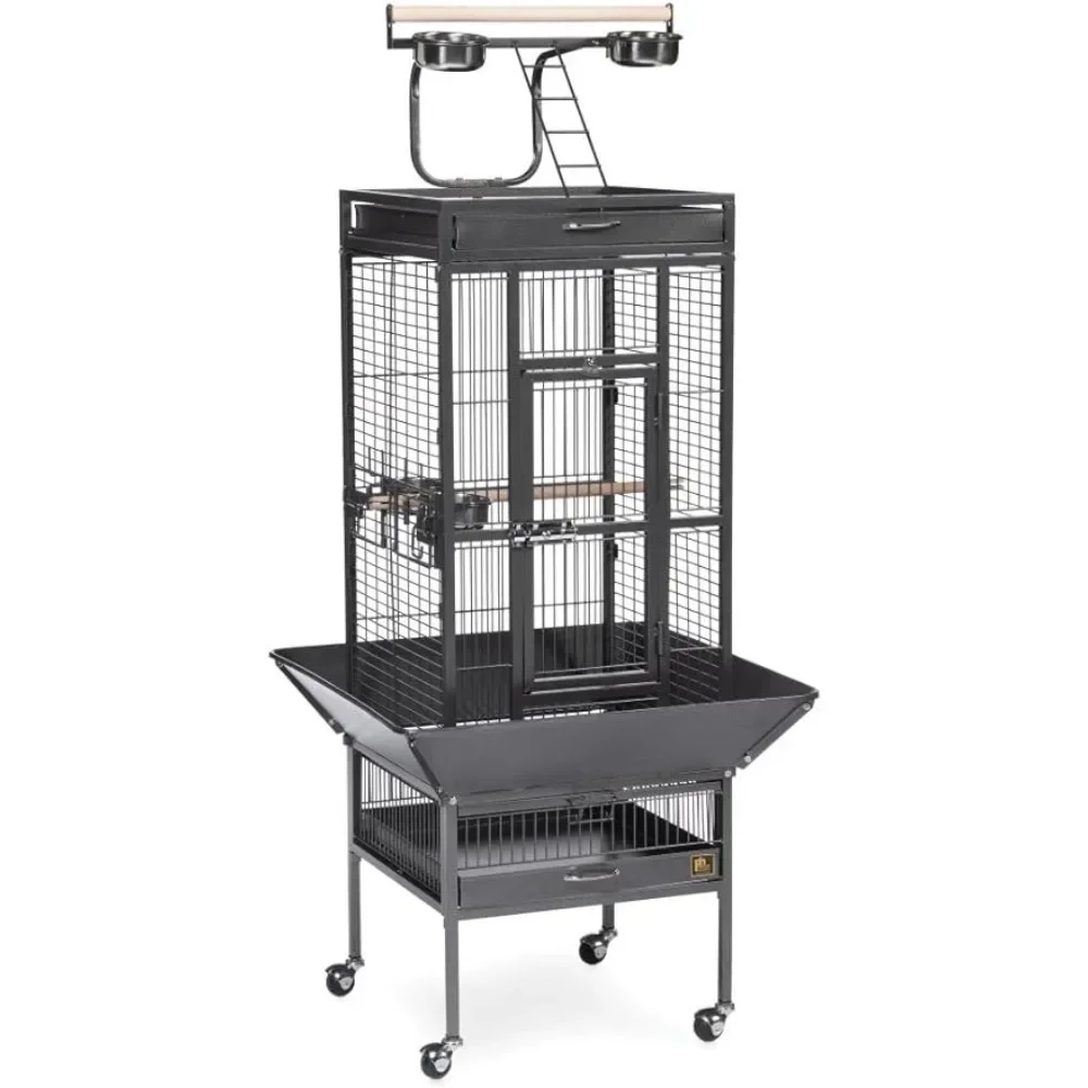 Hendryx Prevue Pet Products Wrought Iron Select Bird Cage Black Hammertone 3151BLK Cages and Accessories Large Parrot Cage Hut