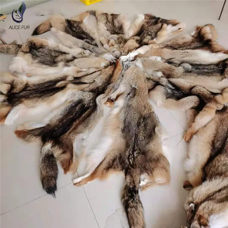 Real Genuine Soft Coyote Fur Pelt Natural Coyote Hide Skin For Hat Shawl Fur Coats