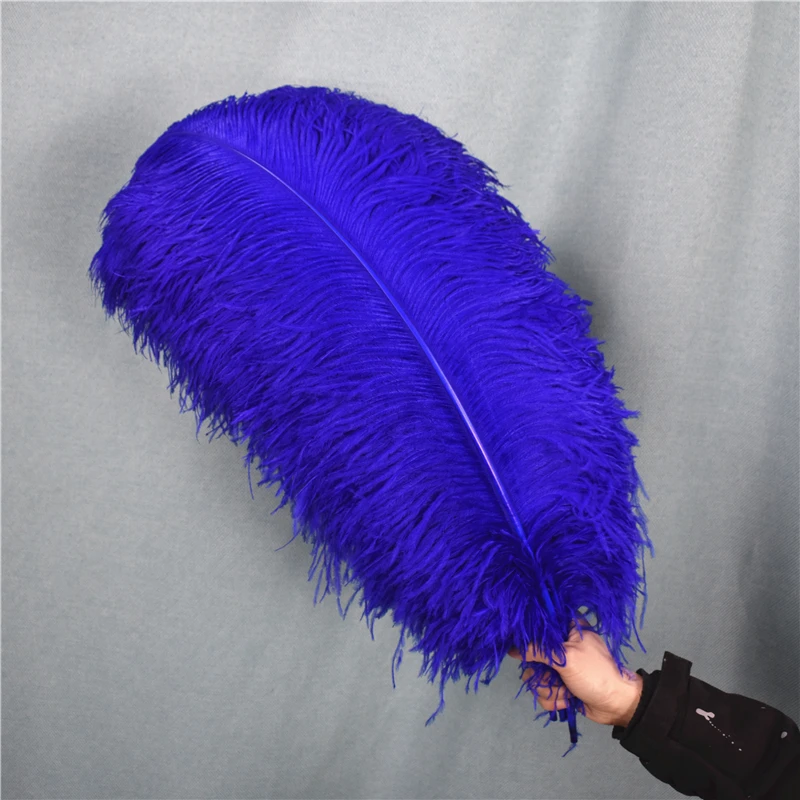 Royal Blue Ostrich Feather Decor 15-70cm/6-28