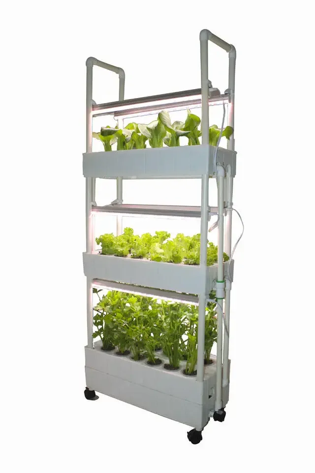 Customization Agriculture hydroponic grow rack vertical indoor farming for planting lettuce