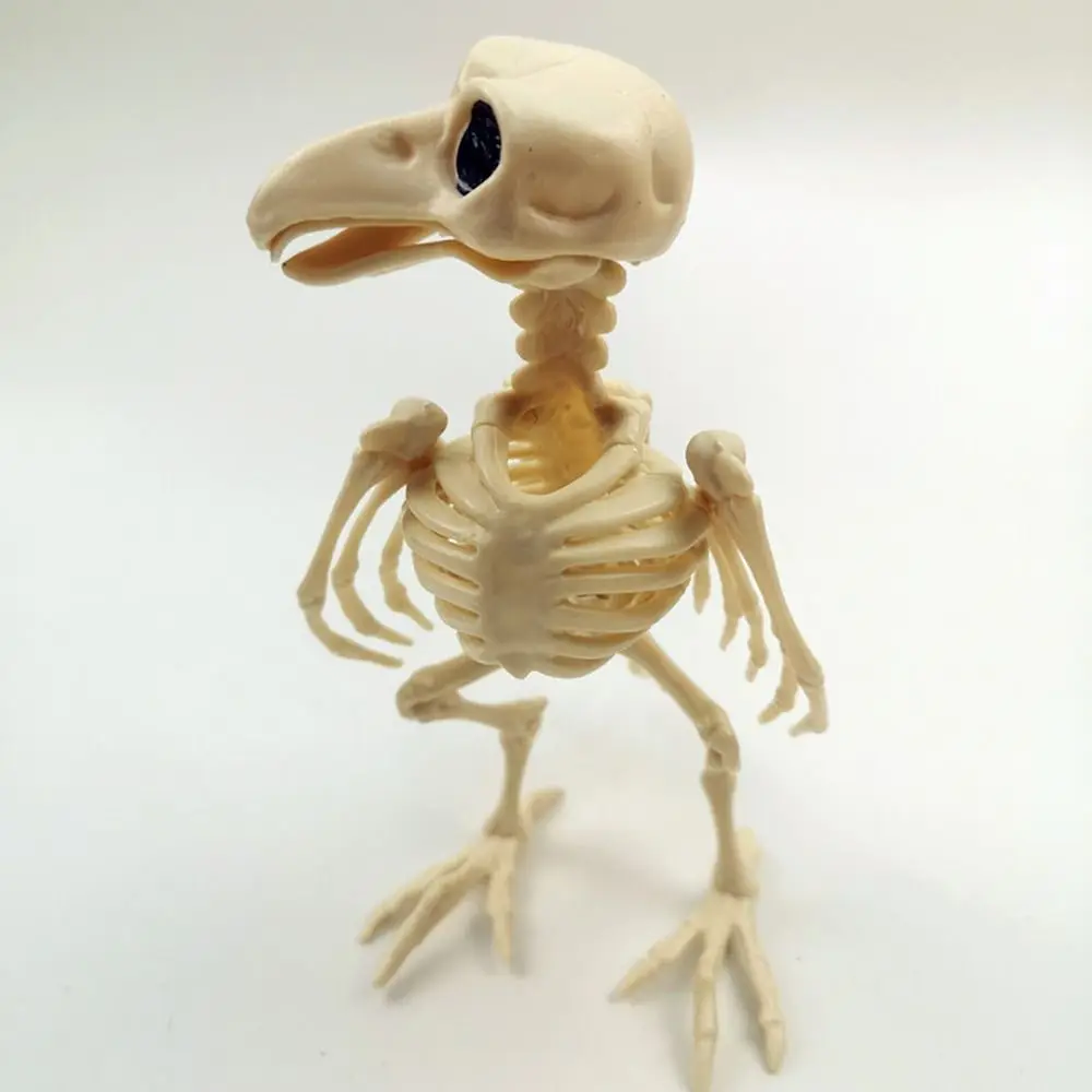 Crazy Bone Skeleton Raven Horror Halloween Prop Plastic Bird Crow Skeleton Decoration