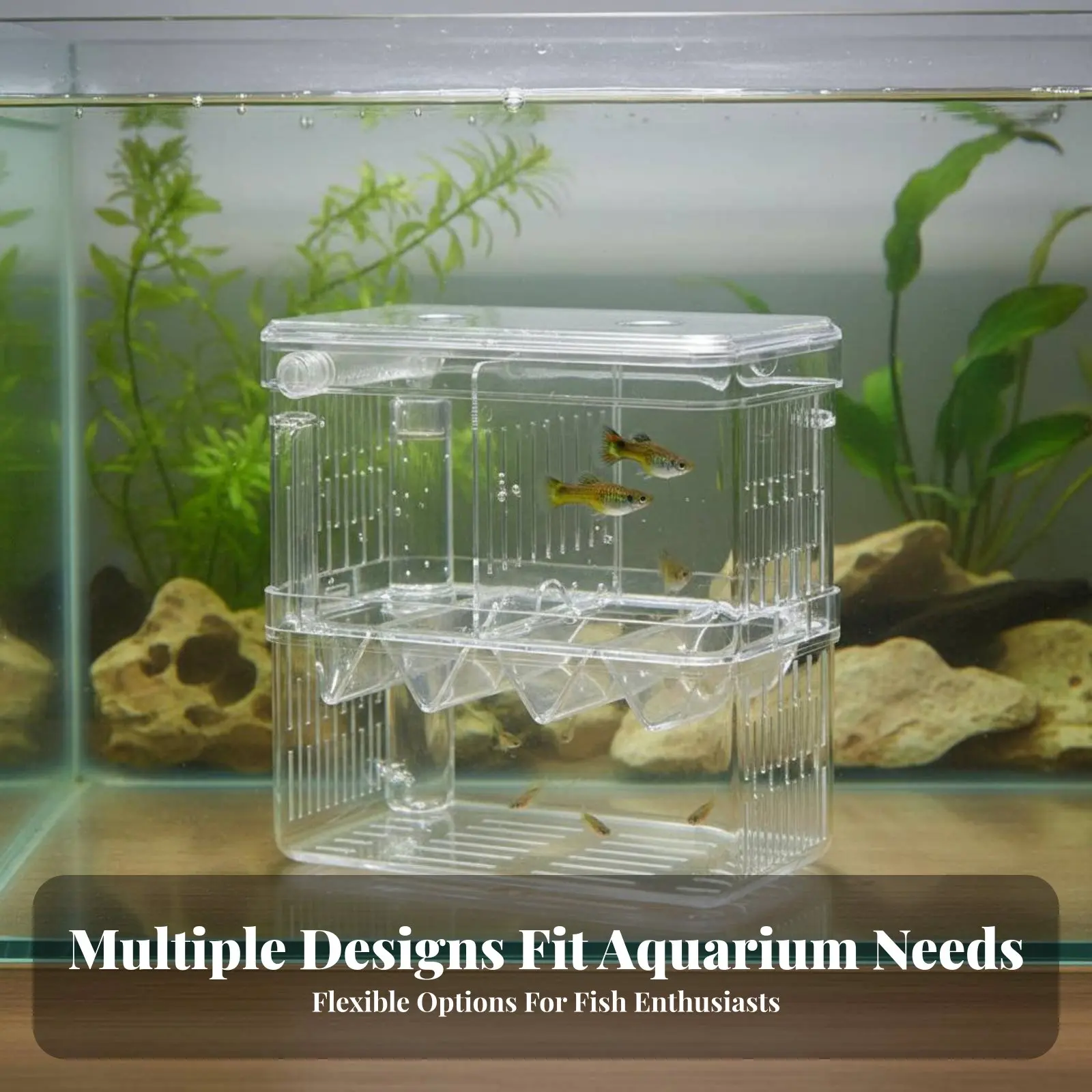 Caja de Cría Acuática Doble Nivel para Guppys – Alta Claridad - imagen 4