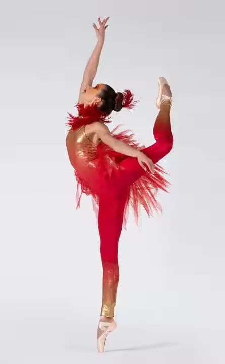 زي الرقص الحديث للسيدات والنساء بذلة زي رقص الطيور