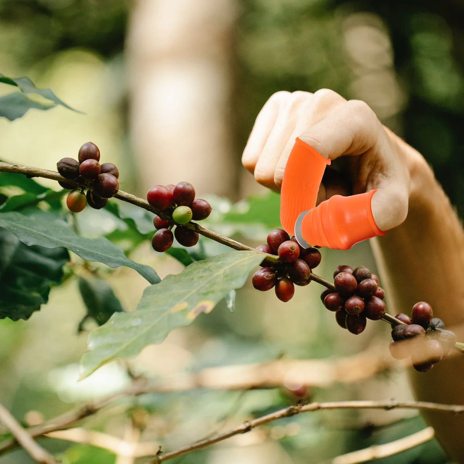 

Vegetable Picker Small Size Lightweight Store Protect Nails Thumb Plant Tool Fruit Harvesting Aid Kitchen