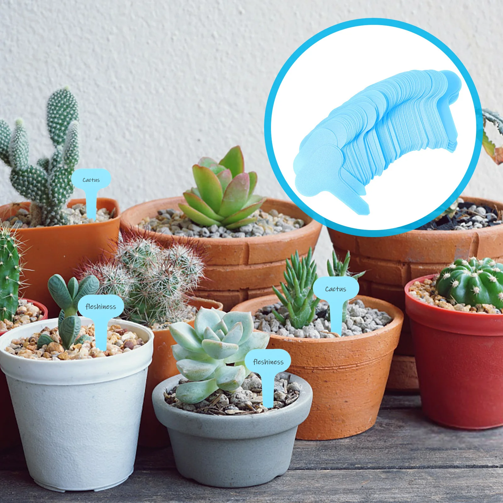 

100pcs Plant Labels Garden Markers Sturdy Plastic Label Stakes For Plants Outdoor Garden Decoration Plant Tags For Seedlings