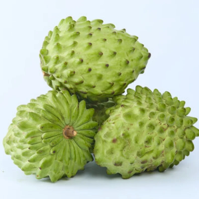 

Metal Steering Knuckle Upright for Tamiya CW-01 CW01 Lunch Box RC Car Parts Accessories