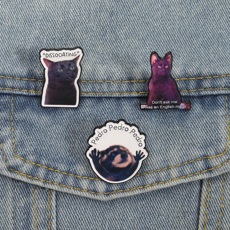 Katze Memes UV-Druck Pins Benutzerdefinierte Raccon Broschen Revers Abzeichen Kleidung Lustiger Tierschmuck Geschenk für Familie Freunde