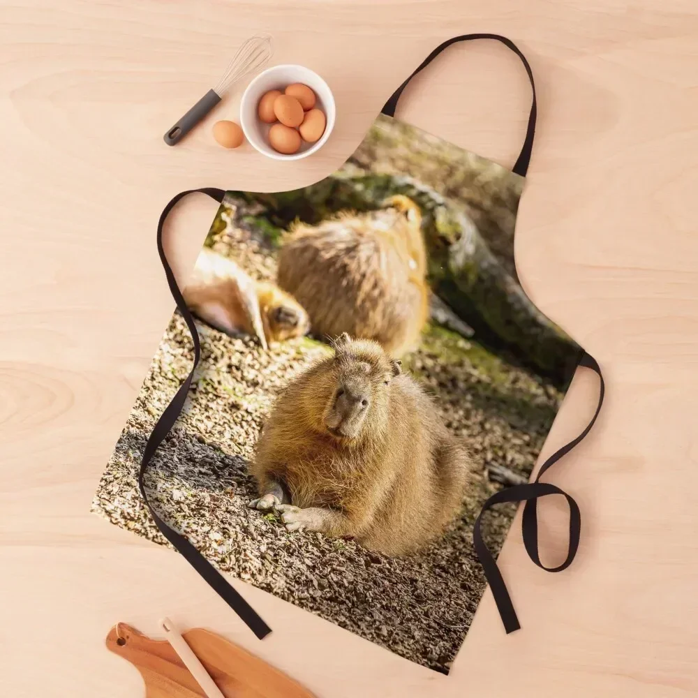 

Capybara dozing in the sunshine Apron For Home Accessories Kitchen Items For Home kitchen jacket woman Kitchenware Apron