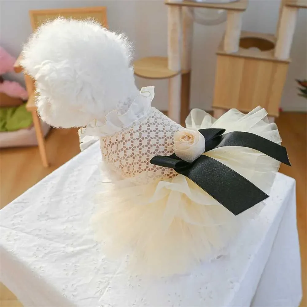 مجموعة فساتين الزفاف الصيفية الفاخرة الراقية للكلاب والقطط فستان توتو كلب أليف ملابس للكلاب والقطط