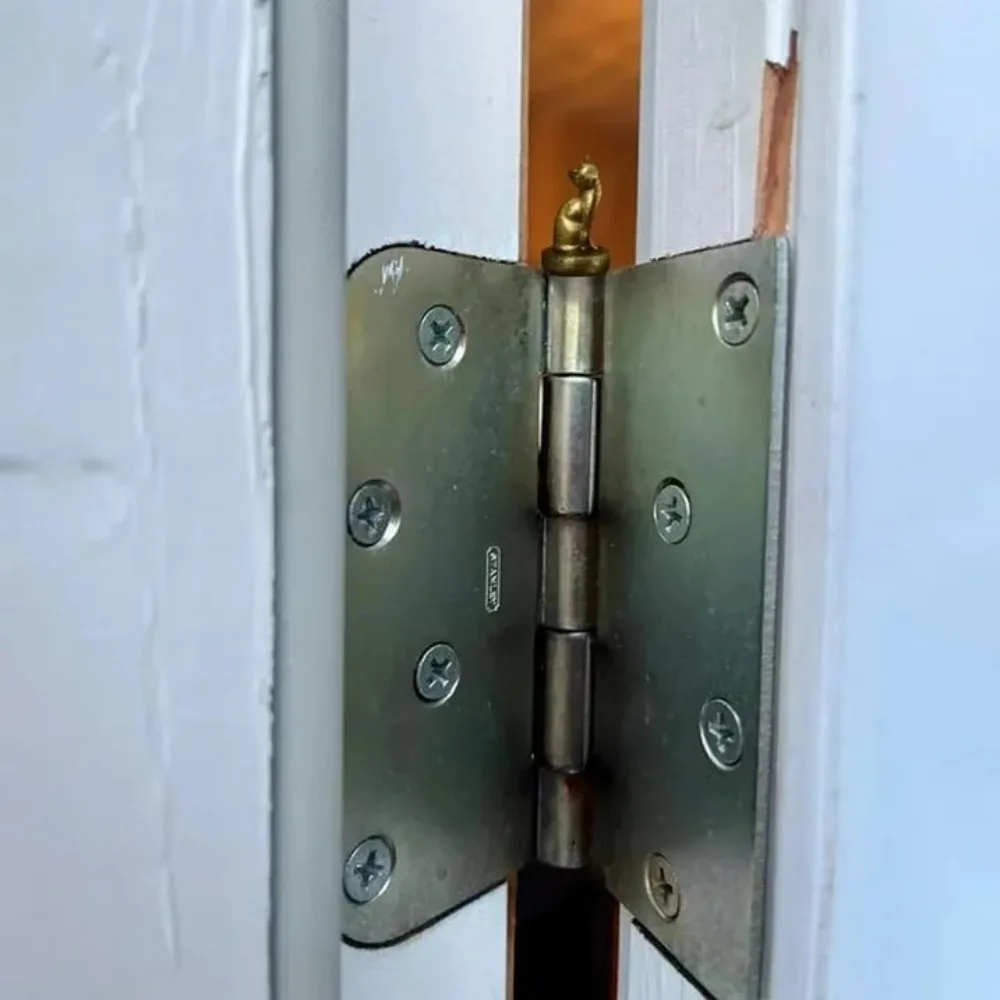 Thumbnail 3 - #12 Compare Magnetic Cat Doors Before You Buy