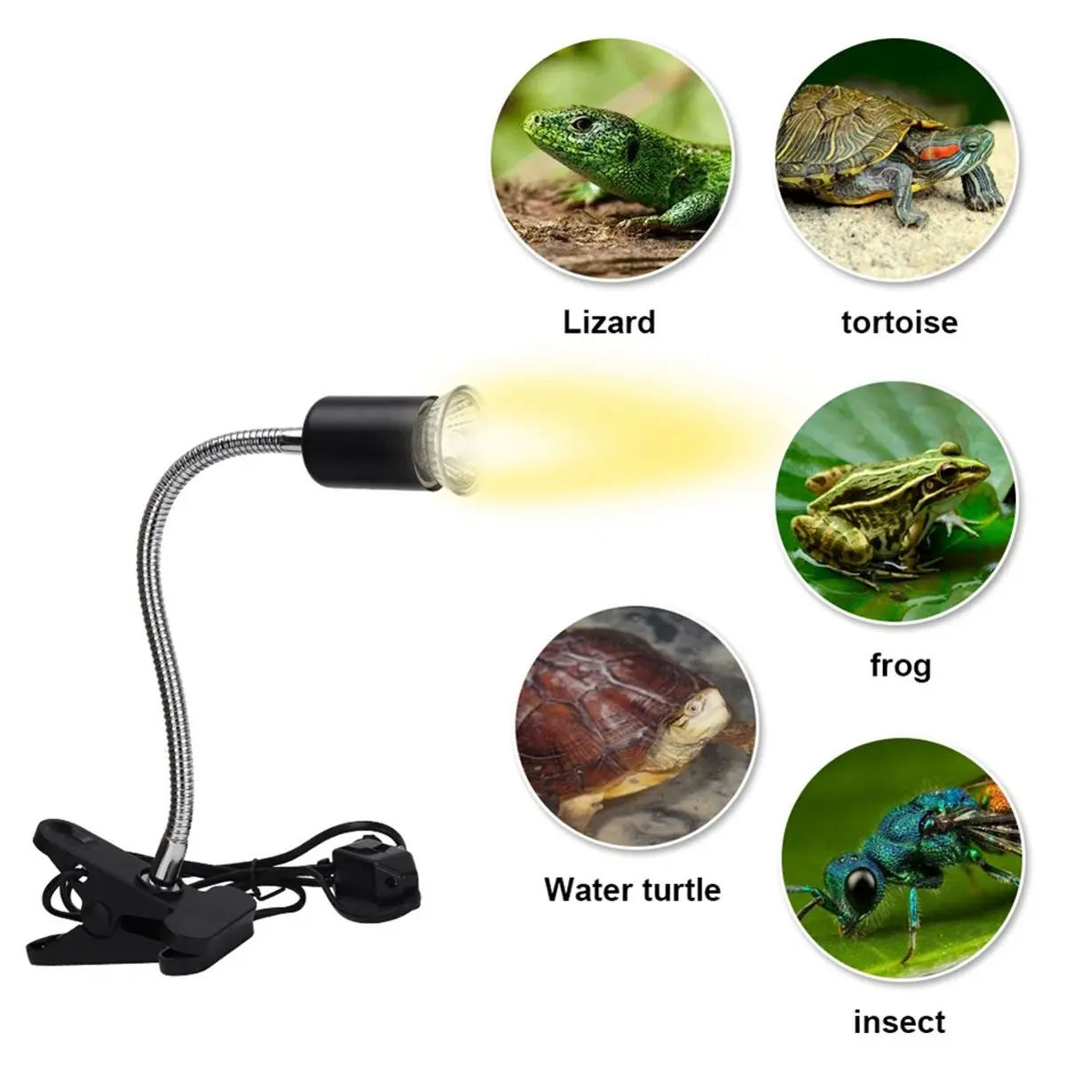 AA19 Dimmable Reptile Heat Lamp UVB Light Rotatable Basking Spot Light Imitate Sunlight for Reptile Lizards Terrarium US Plug