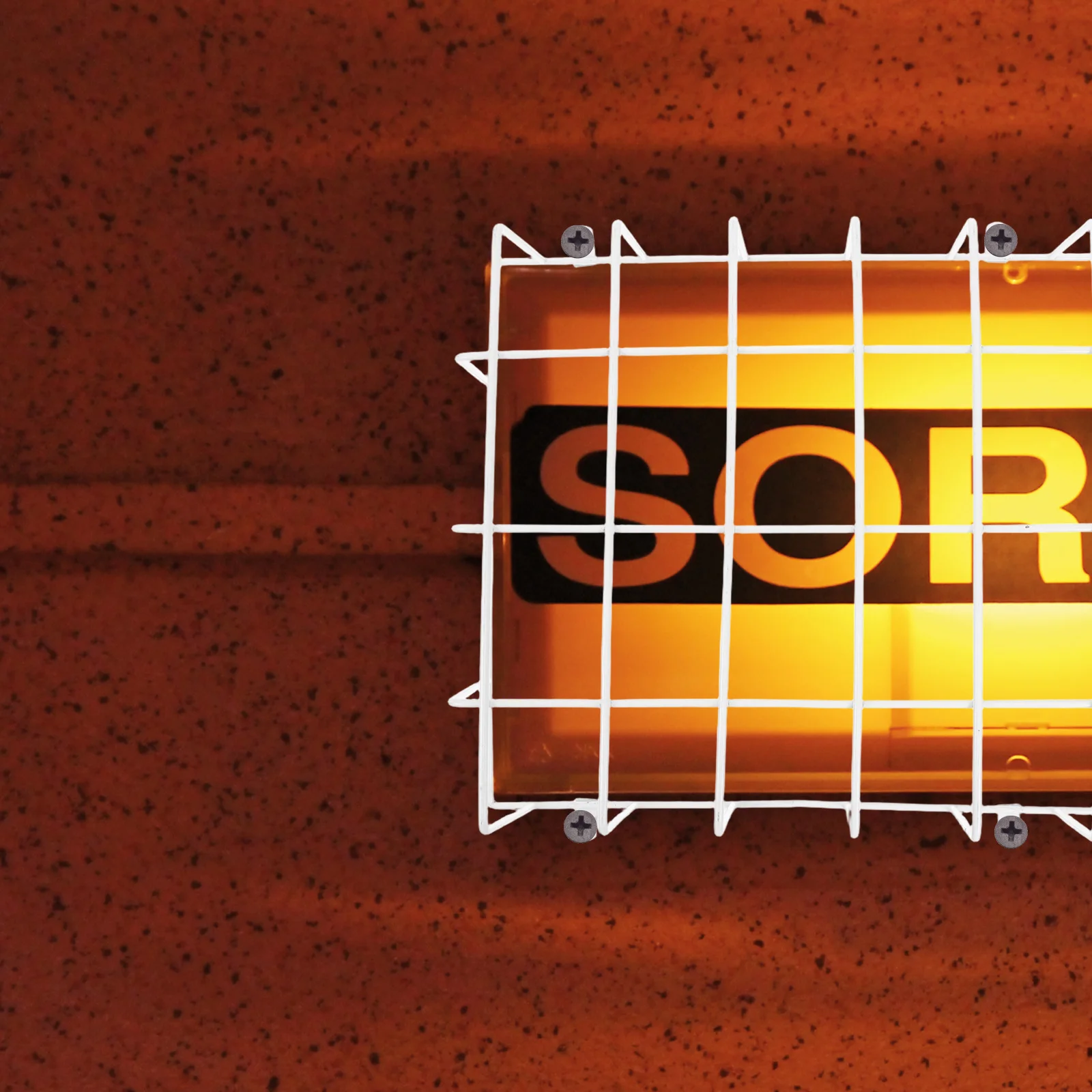 Ausgangsschild, Schutzkäfig, Eisendrahtschutz, 11,79 x 11,79 x 2,95 Zoll, Wandschutz, Notlichtschutz, Schule