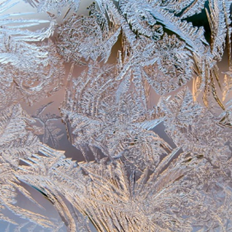 

FLYCOLOR Raptor5 Brushless ESC 3-6S Drone ESC 32Bit G701 PWM 128K Single 20A 35A 45A 50A ECS Dshot Proshot for FPV Racing Drones