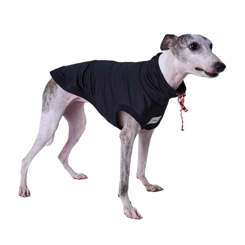 

Autumn Winter dog sweaters for sighthounds, suitable for Saluki, Greyhound and Whippet, two-legged pet clothing, dog harness