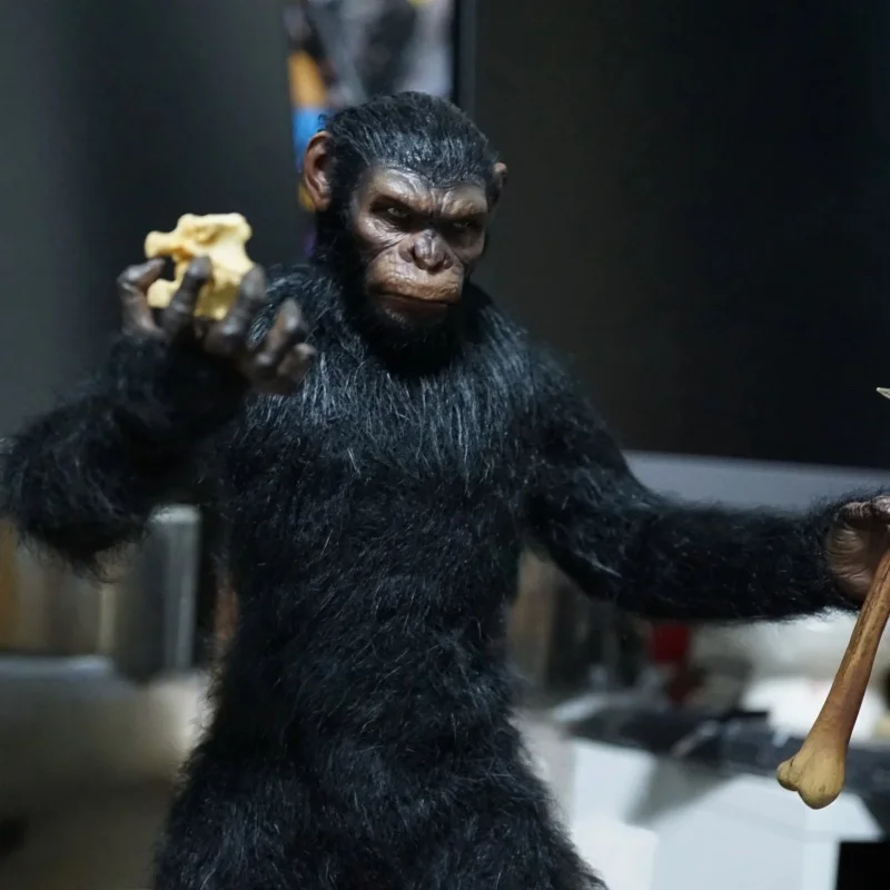 

In Stock Original HELL CAT 1/6 Dym202402 The Apeleder Action Figures 12inch Scale Collectible Model New Year Toy Gift