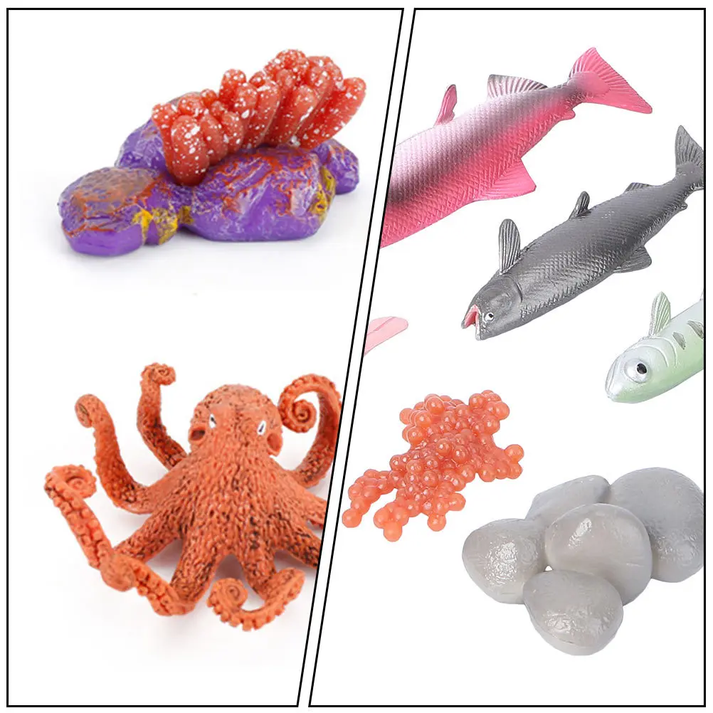 2 conjuntos de ciclo de crescimento de peixes, artesanal, design criativo, decoração de quarto, adereço educacional para crianças, modelo de figura de peixe, modelo de ciclo de vida de polvo