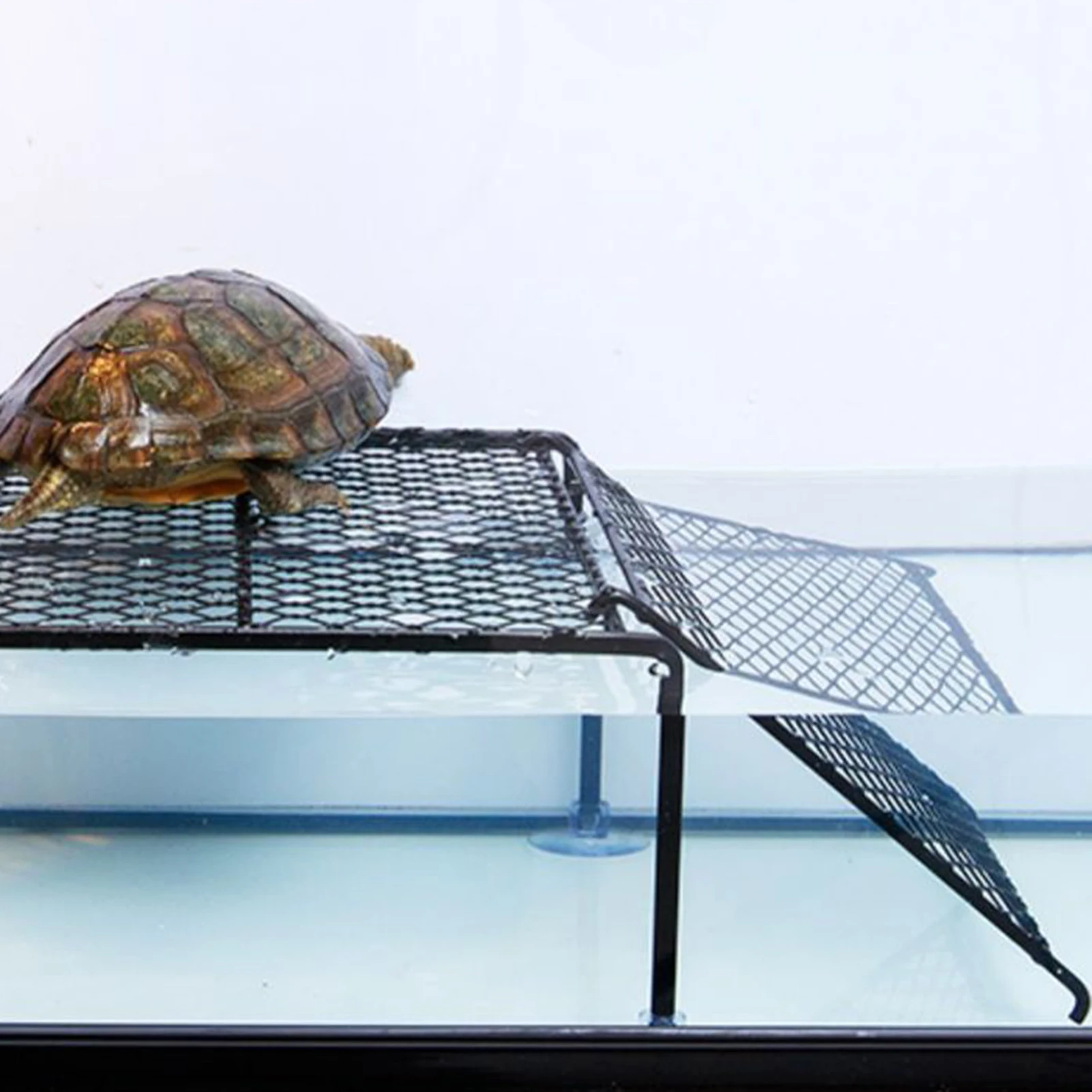 TurtleBaskingPlatformFloatingIslandRampSafeClimbingRestingAreaforAquariumTanksProvidingDryOffZoneforTurtles-AliExpress