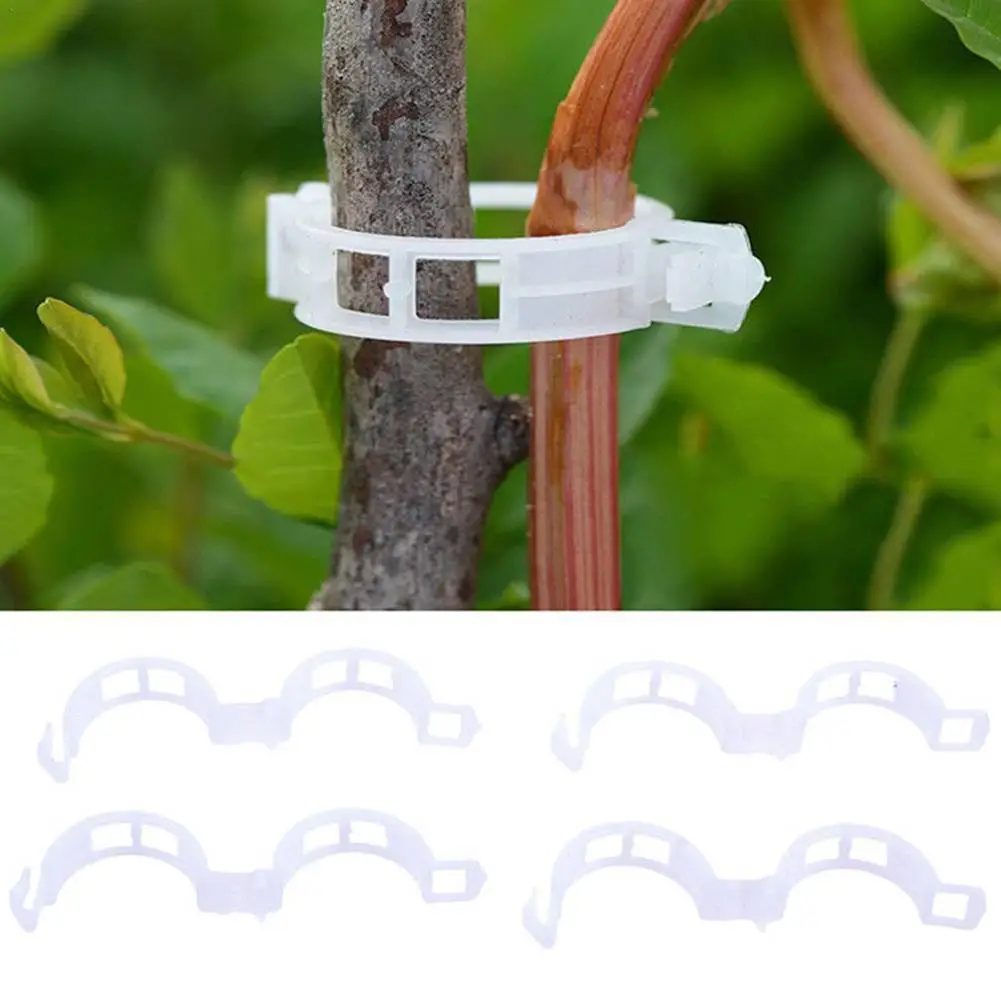 Clips de croissance en plastique pour plantes, 20/100 pièces, cintre, greffage, tomate, rotin, vigne